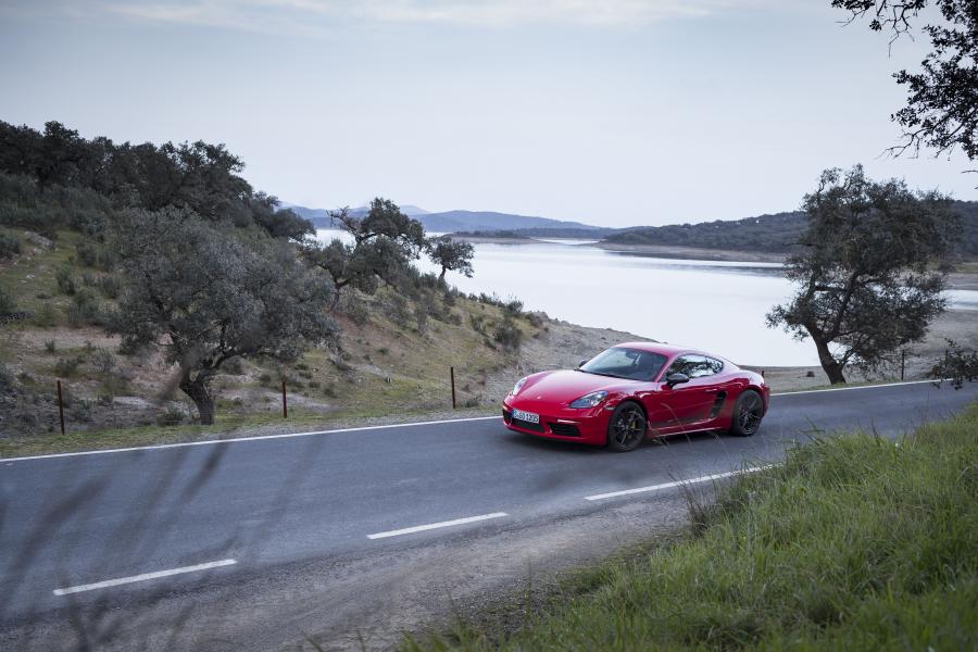  Porsche 718 Cayman T (982C) 2019 года  (WW) (фото 42 из 73)